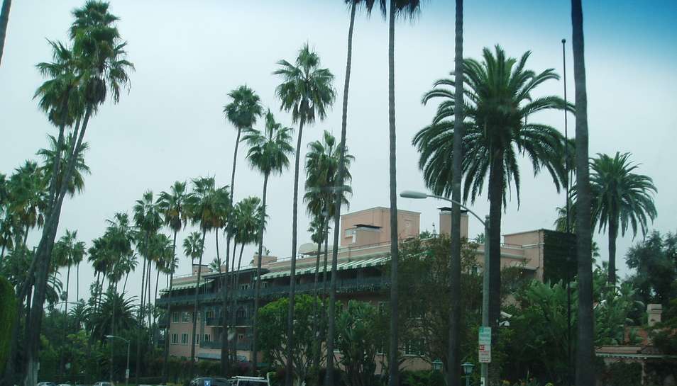 [Vox News] Beverly Hills Day Edition