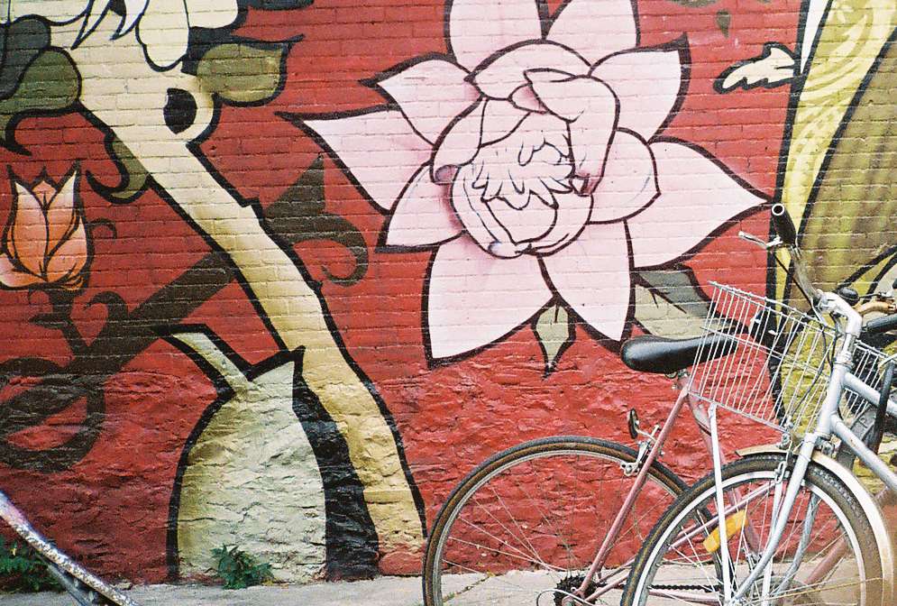 Velo Slashie Rides Again!