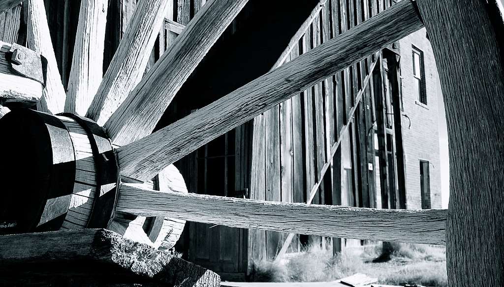 Book Club: True Grit