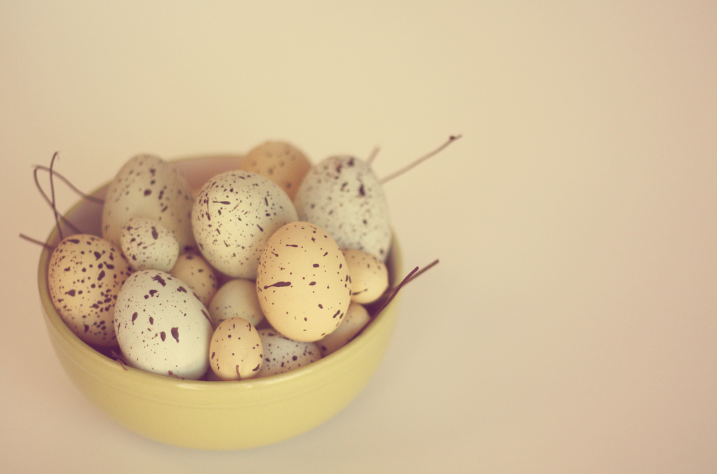 Easter Egg Hunt and Picnic