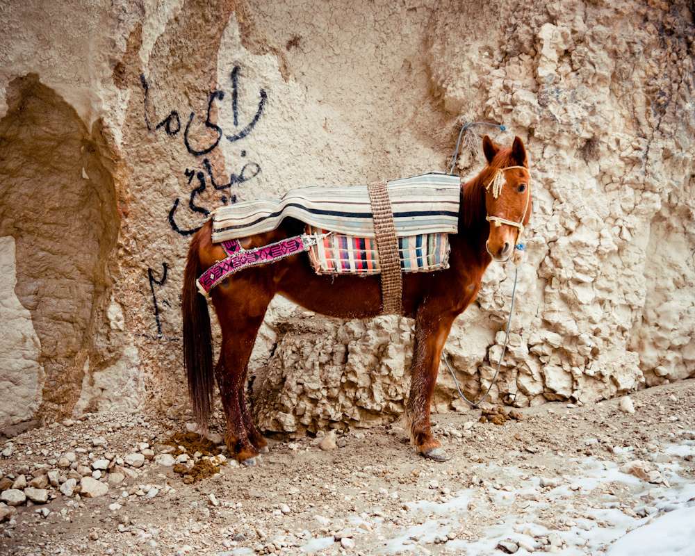 E’s Update: Nepal & Projects