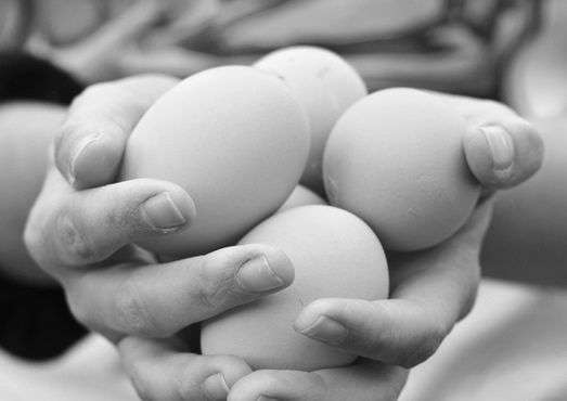 Eggs