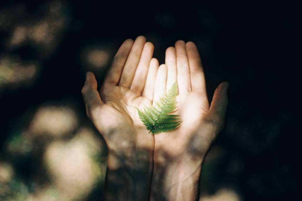 Advent Generosity