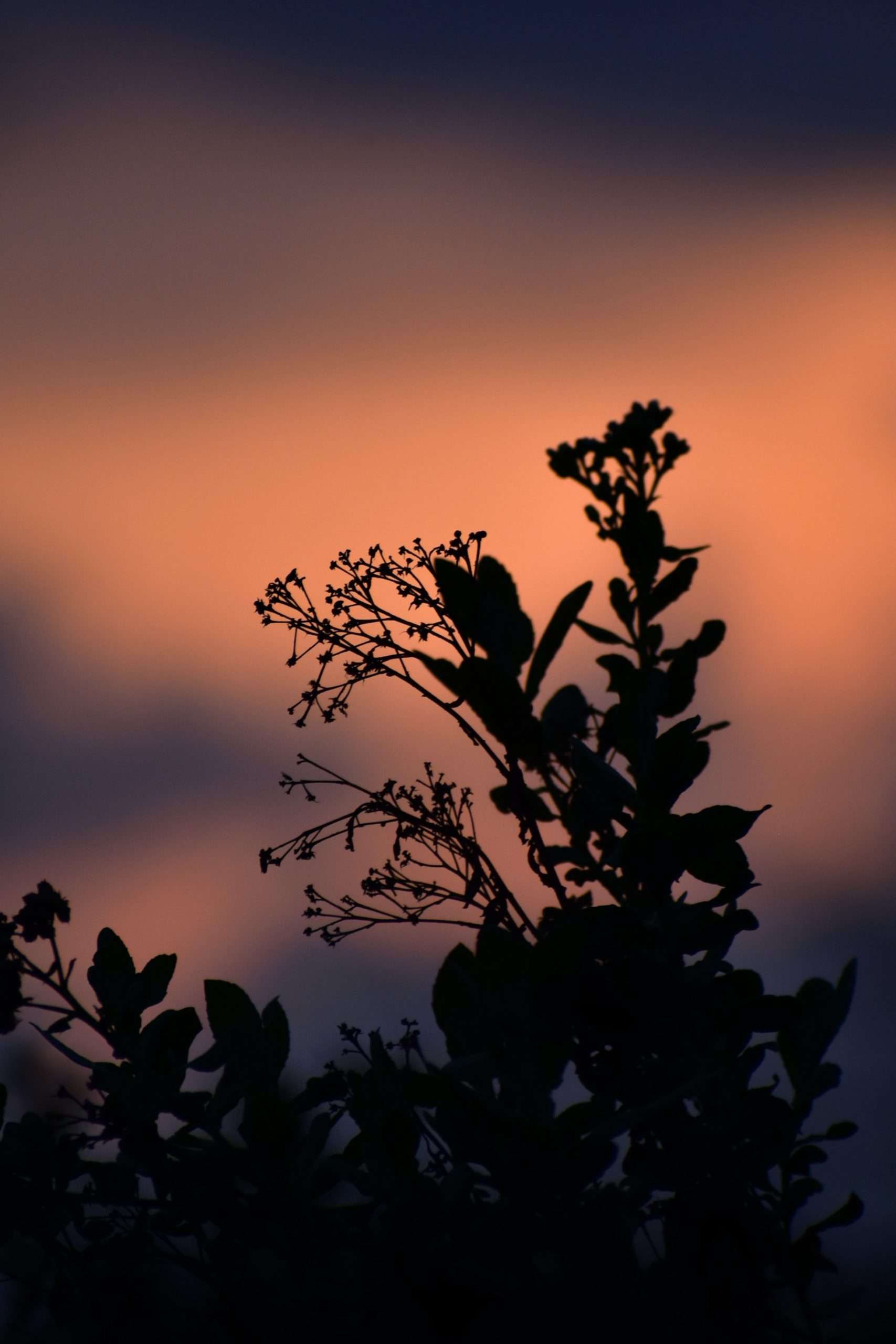 Community Prayers 2021.05.02