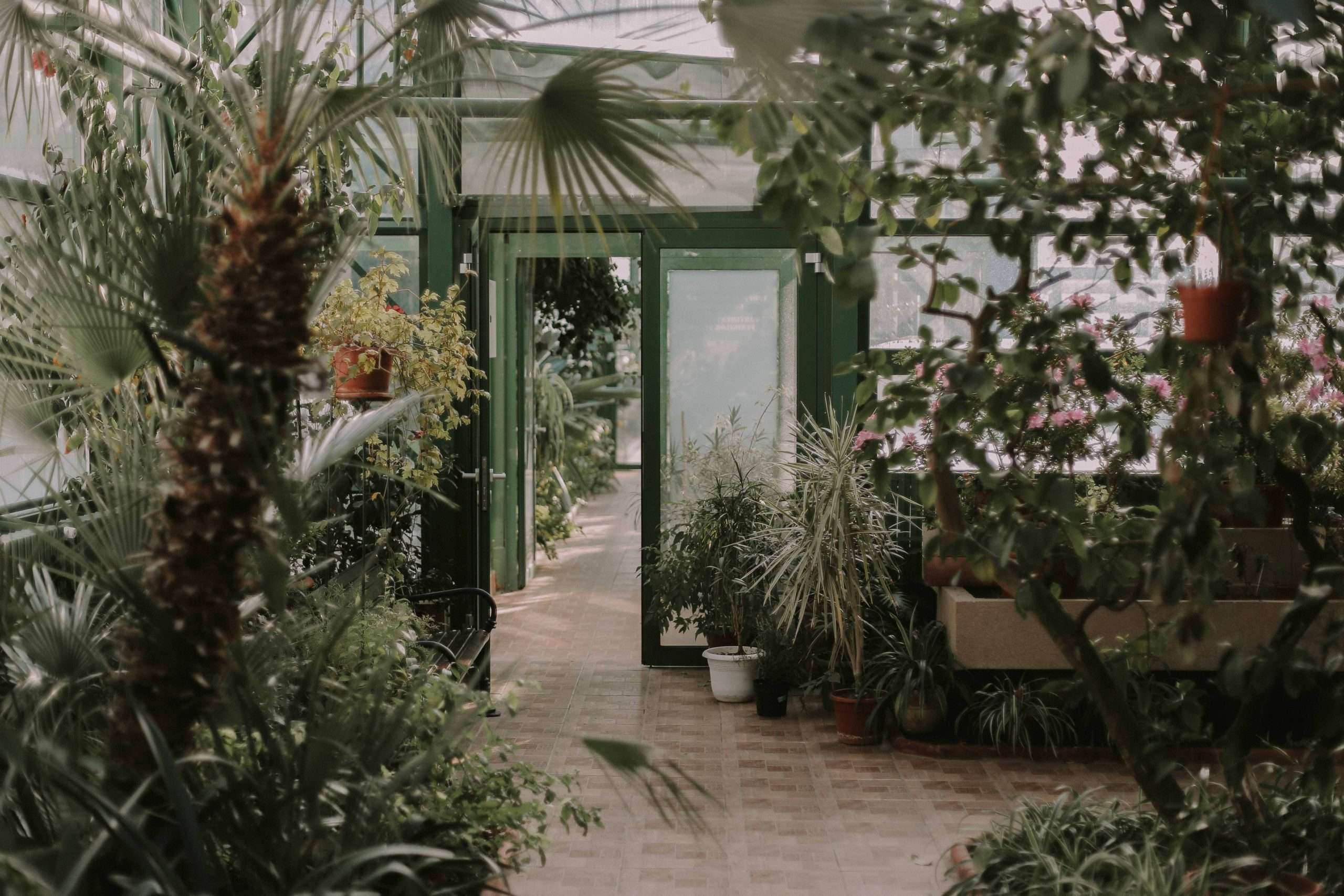 Greenhouse Registration and Update (2021)