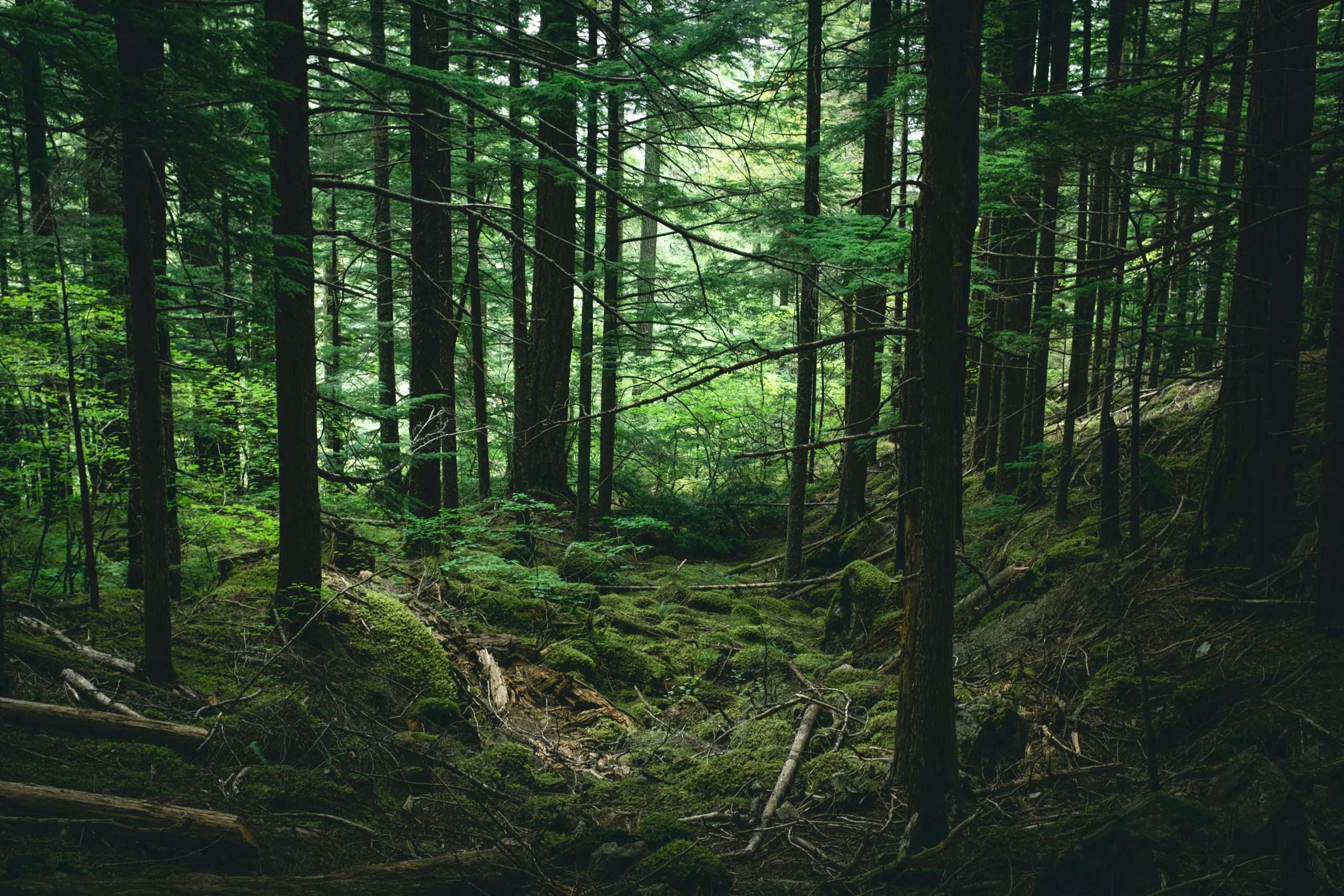 Nonviolent Communication Workshop [Mar 23]