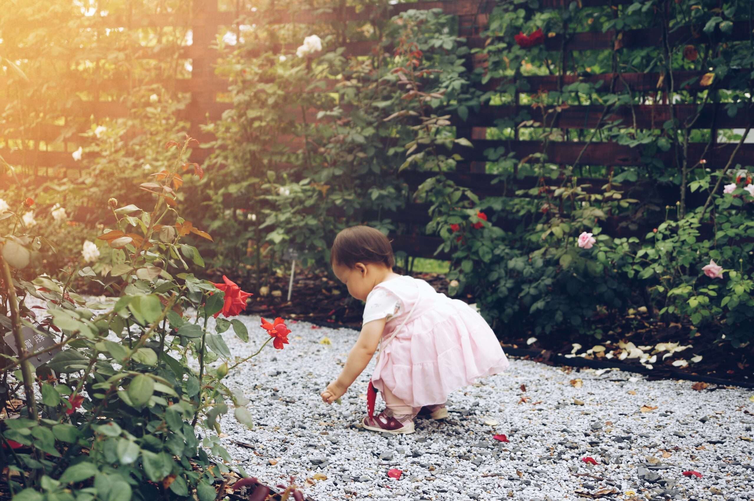 Child Dedication Sunday [May 26]