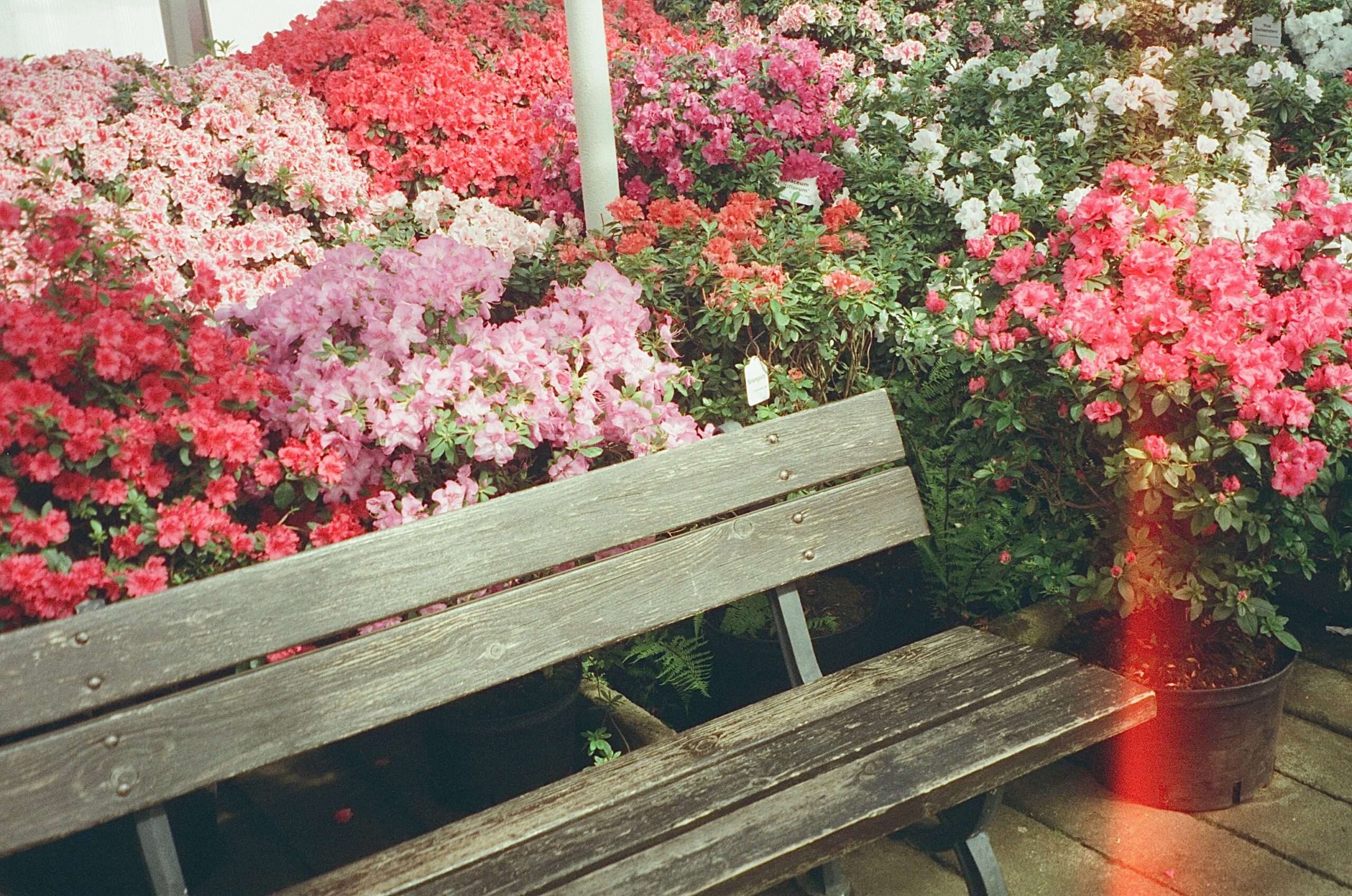 iACT Red Bench Conversation [Apr 30]